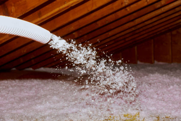 Professional Insulation Contractor in Santa Clara, UT