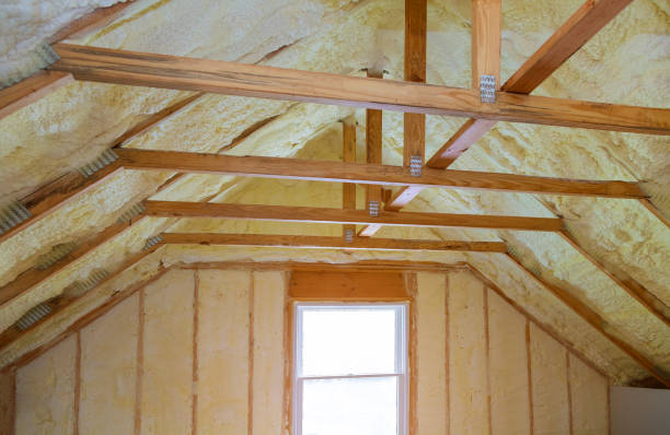Best Geographic-Specific Insulation Services in Santa Clara, UT