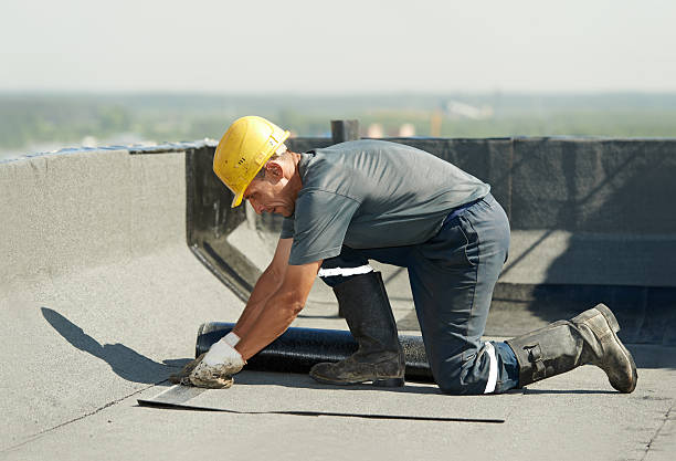 Best Eco-Friendly Insulation in Santa Clara, UT