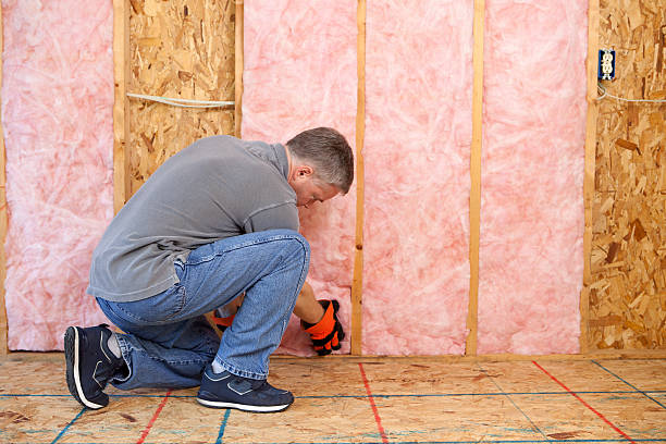 Best Geographic-Specific Insulation Services in Santa Clara, UT