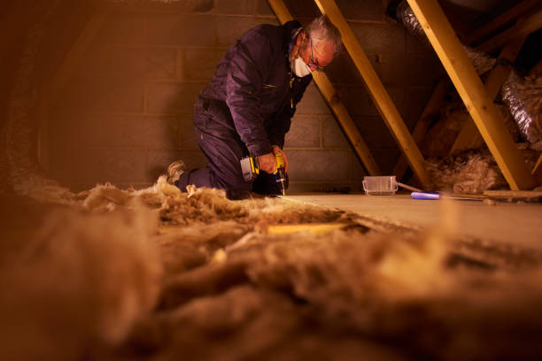 Best Eco-Friendly Insulation in Santa Clara, UT