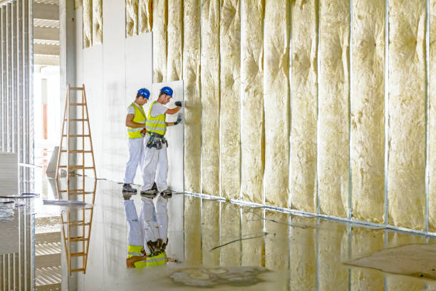 Best Insulation Maintenance and Repair in Santa Clara, UT